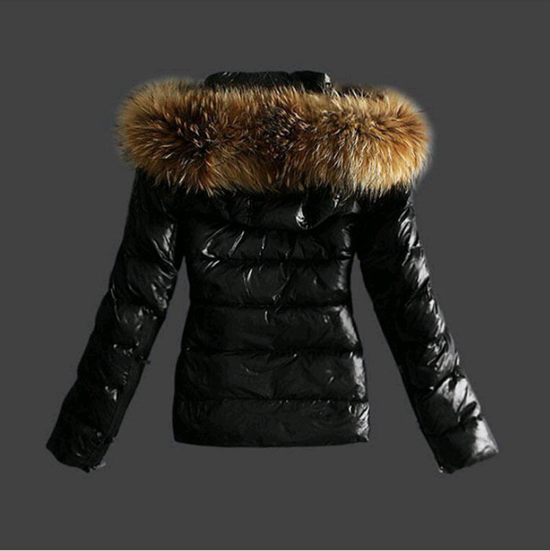 fc6c03c3e23c8537467e7744778ceab8