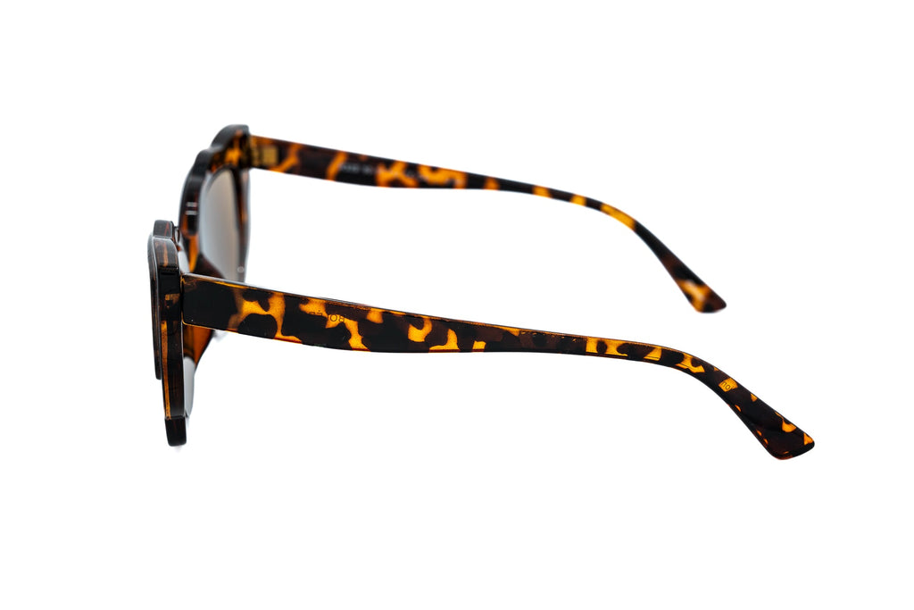 Boléro Floriva — Oversized Cat-Eye Sun Readers-2